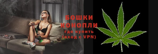 шишки Арсеньев