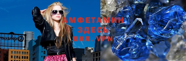 шишки Арсеньев