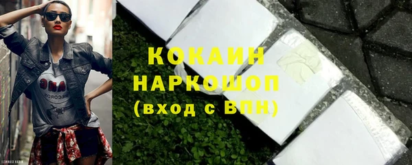 шишки Арсеньев