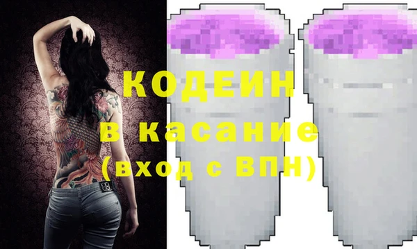 шишки Арсеньев